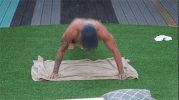bbuk bear big brother reality tv cbb GIF