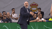 real madrid yes GIF by ACB