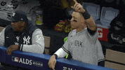 Aaron Judge Baseball GIF by MLB