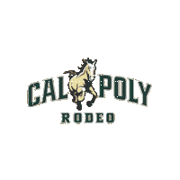 College Horse Sticker by calpolyrodeo