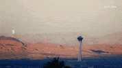 GIF by CYBERWAR