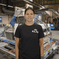 Royal Dutch Airlines Thumbs Up GIF by KLM