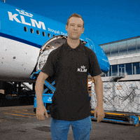 Royal Dutch Airlines Thumbs Up GIF by KLM