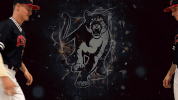 GIF by Columbus State University Athletics