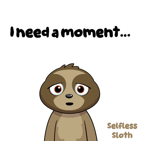 Sloth GIF by VeeFriends