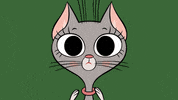 ZipZipOfficial cat what omg shocked GIF