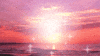 Art Design Dolphin GIF