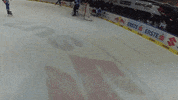 red bull pov GIF