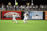 Sport Jumping GIF by Fayetteville Woodpeckers