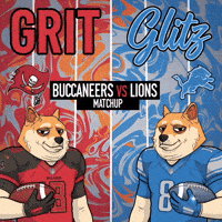 Detroit Lions Football GIF by Doge Pound