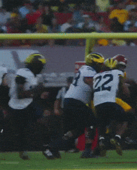Fight On Big Ten GIF