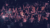 cheers drink to that GIF by Rihanna