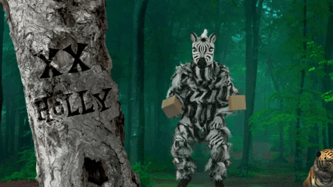 Shake Salsa GIF by FOX TV