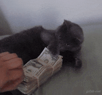 loan ehr GIF