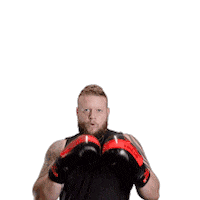 Boxing Newcastle Sticker by Redback Solutions