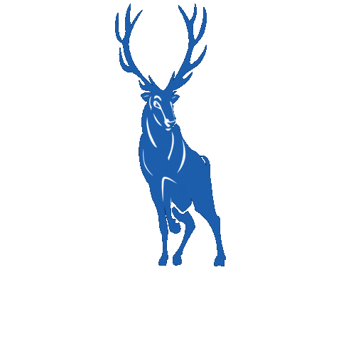 bishopmiegecatholichighschool stag stags miege bishopmiege Sticker