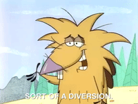 nickrewind nicksplat angry beavers GIF