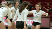 Celebration Volleyball GIF by Lafayette Leopards