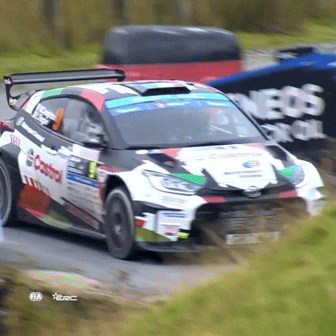 Erc GIF by FIA European Rally Championship