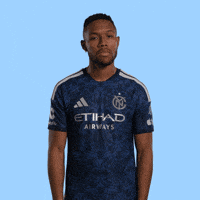 Mls Smh GIF by New York City FC