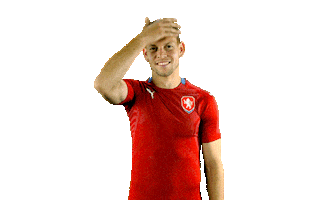 Czech Republic Ceskarepre Sticker by 2score