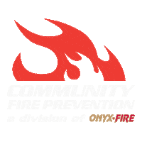 Flame Onyx Sticker by ComFire