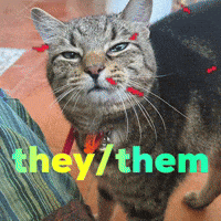 Cat Theythem GIF