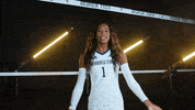 Georgia Tech Volleyball GIF by Georgia Tech Yellow Jackets