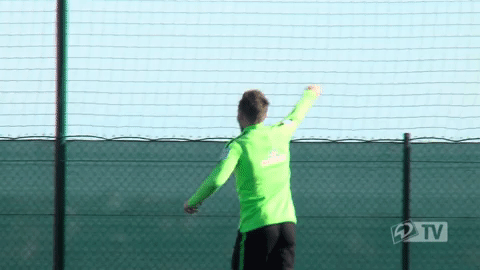 werder werderbremen GIF