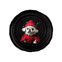 Team Pekingese Sticker by Caravan of Paws
