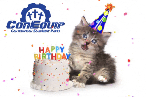 Cat Birthday GIF by ConEquip Parts