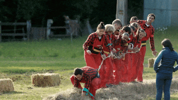Euskara GIF by EiTB