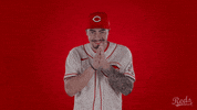 Baseball Mlb GIF by Cincinnati Reds