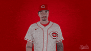 Baseball Mlb GIF by Cincinnati Reds
