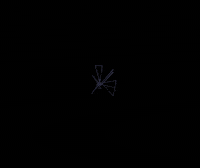 quasicrystals 3d abstract crystals webgl GIF