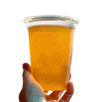 Beer Mr Sticker by Mr. Hoppy