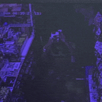 Jojosayz GIF