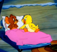 Duck Duckling GIF