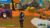 Why Would You Do That Fortnite Battle Royale GIF