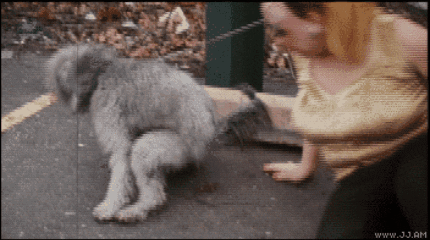 baazyll giphygifmaker giphygifmakermobile shit divine GIF