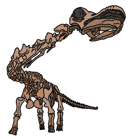 Happy Natural History Sticker by American Museum of Natural History