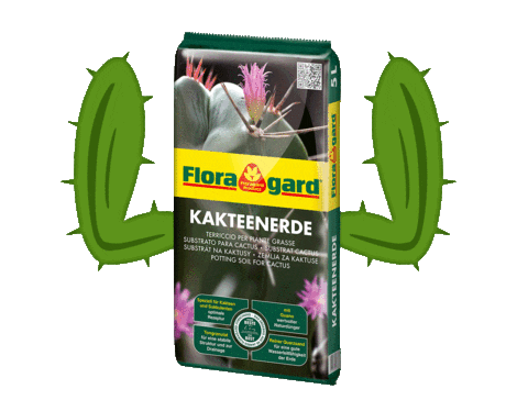 Floragard giphyupload plants muscles cactus Sticker