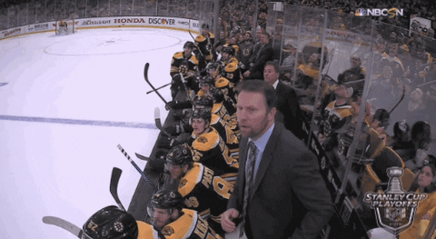 ice hockey sport GIF by NHL