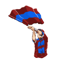 futbol mac Sticker by Passolig