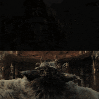 wow GIF by Warcraft