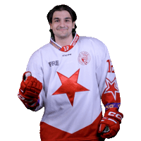 Hcslavia Sticker by HC SLAVIA PRAHA