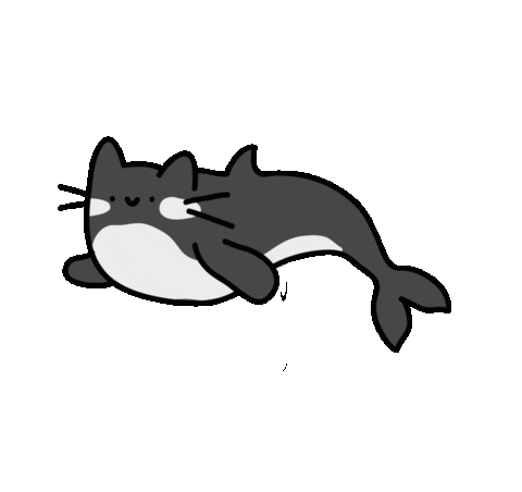 Killer Whale Cat Sticker by TeaBag