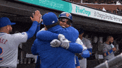 Happy Francisco Lindor GIF by New York Mets