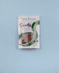 santenuts  GIF