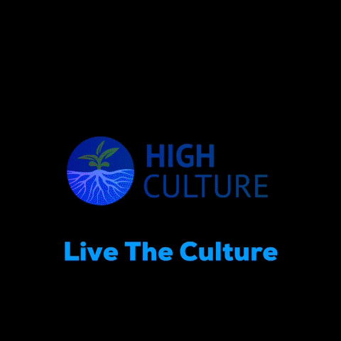 High_Culture cbd hemp highculture livetheculture GIF